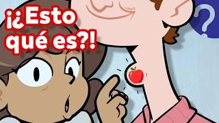 ¿Para qué sirven estas 7 extrañas partes de tu cuerpo?