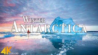 Winter Antarctica 4K Ultra HD • Stunning Footage Scenic Relaxation Film with Calming Music.