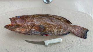 BEST Way to Fillet Black Grouper