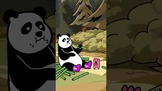 panda fun facts 