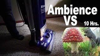 Ambience VS LucidTV   Head to head ASMR Vacuums Duelling 10 Hrs. Chills Thrills Sudden Shifts