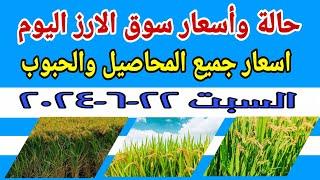 اسعار الارز الشعير اليوم حالة سوق الارز اليوم السبت 22-6-2024