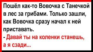 Как Вовочка с Танечкой ходили в лес за грибами...  Анекдоты Юмор Позитив