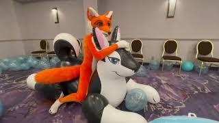 Tabaquie riding on pool toys by Phenod @GSFC.