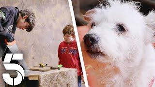 Farm Kids Build A Dog House By Hand  Our Yorkshire Farm  Channel 5