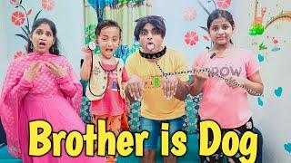 Brother is Dog   comedy video  funny video  Prabhu sarala lifestyle