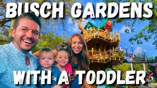 Busch Gardens with a Toddler  Tampa Bay Florida