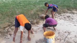 Amazing Children Fishing   How To Catch Fish