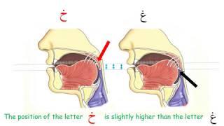 How to pronounce     ع  غ  خ