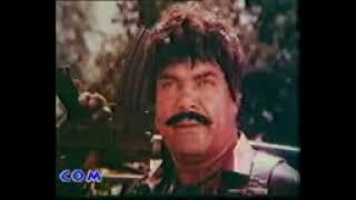 NOOR JAHAN PAKSTANI MOVIE SULTAN RAHI SHER DIL