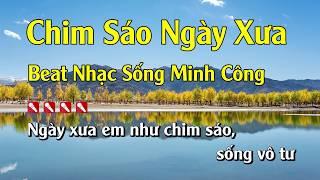 Karaoke Chim Sáo Ngày Xưa Hay Nhất - Tone Nam