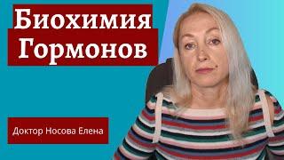 Как управлять гормонами  Биохимия Гормонов