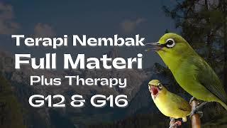 Terapi Pleci Nembak Full Materi Plus Therapy