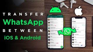 Transfer WhatsApp Messages From Android To iPhone & iPhone To Android  Easy WhatsApp Data Transfer
