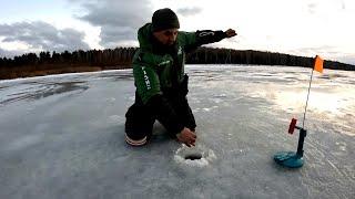 РЫБАЛКА НА ЖЕРЛИЦЫ. ТОЛЬКО ПОСТАВИЛ УЖЕ ГОРЯТ ФЛАЖКИ ВЕЧЕРКА на ЖЕРЛИЦЫ по последнему ПЕРВОМУ ЛЬДУ