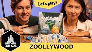 Играем в Zoollywood Семейная дуэль с пингвинами.