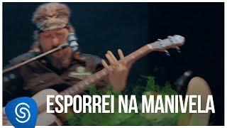 Raimundos - Esporrei na Manivela DVD Acústico Vídeo Oficial