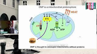 How mitochondrial uncouplers induces proton leak - Michael Grabe