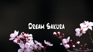 Japanese impressed music No Copyright Dream Sakura Piano Free BGM