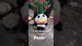 #shorts #paperduck #ducky #teddy #unboxing #lalafanfan #pandy