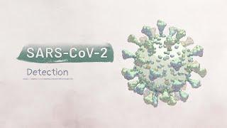 Biology of SARS-CoV-2 Detection  HHMI BioInteractive Video