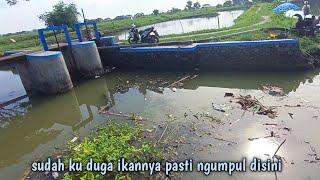 mancing di pertemuan sungai