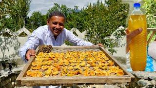 Harvesting a Lot of Apricots for Drying  Apricots Oil  Traditional Method of Preserving Apricots