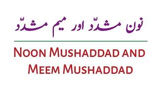 Noon Mushaddad and Meem Mushaddad