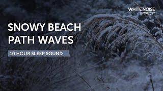 Snowy Beach Path Waves Sleep Sound - 10 Hours - Black Screen