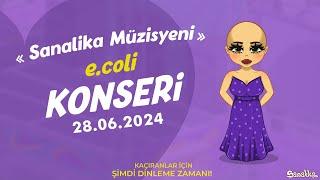 Sanalika Müzisyeni - e.coli Konseri