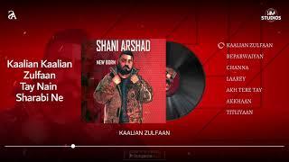 Kaalian Zulfaan - Visualiser  New Born  Shani Arshad  HM Studios