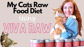 My Cats Raw Food Diet  Viva Raw Raw Food Pre Mixed and how I feed my cats