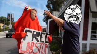 Free the Lobsters Troll
