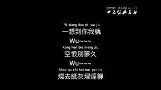 芒种 - 赵方婧 Mang zhong - Zhao Fangjing  中文歌词_拼音 _With Chinese pinyin lyrics