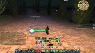 LOTRO Minstrel DPS Build Red Yellow Hybrid