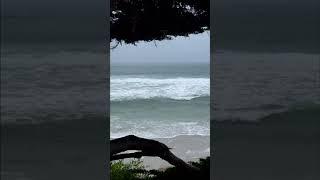 Beautiful rainy day on Carmel Beach CA.  #carmel #beach #rain #shorts #musicmaker #singersongwriter