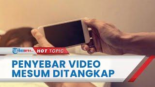 Beredar Video Mesum Anak Sekolah di Tana Toraja Pemuda yang Merekam dan Menyebarkan Diciduk Polisi