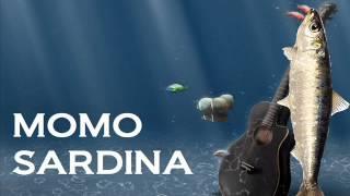 MOMO - SARDINA