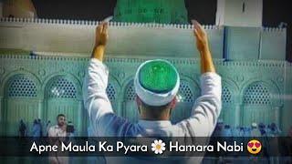 Apne Moula Ka Pyara Hamara Nabi  New Manqabat  Mohammad Hassan Raza Qadri  Shah Meerani 