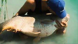 BIG FISH  CARPA 31 KG . RECORD del lago.