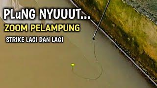 Ikan Gak sabarBaru juga Nyemplung langsung nyambarMancing lele dikolam