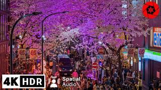 Shibuya’s Popular Sakura Illumination & a Secret Sakura Spot to Relax - 4K HDR