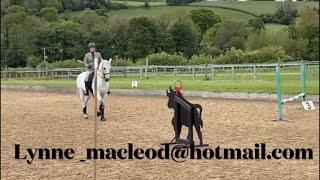 What Is Working Equitation?