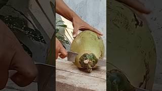 Sliced Coconut Peeling Styles amazing coconut peeling #cuttingskills #coconutcuttingskills #short