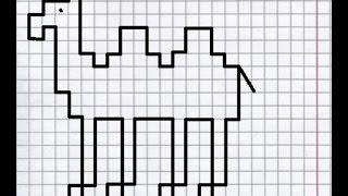 Верблюд графический диктант по клеточкам рисуем по клеточкам верблюда