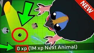 MOPE.IO *ZERO* XP CASSOWARY TROLLING  Mope.io Best & Funny Moments