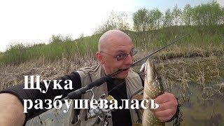 ЖОР ЩУКИ в апреле. Чудо воблер рулит.