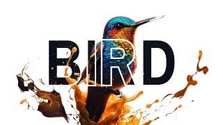 How to Design Text Effect on Bird using Canva  Canva Tutorial  Canva Pro Tutorial