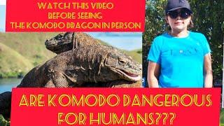 ARE KOMODO DRAGON DANGEROUS FOR HUMAN? WATCH THIS VIDEO  BEFORE SEEING THE KOMODO#komodo #ntt