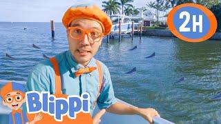 Blippis Boat Goes to Sea + More  Blippi and Meekah Best Friend Adventures